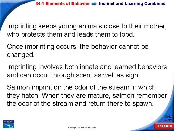 34 -1 Elements of Behavior Instinct and Learning Combined Imprinting keeps young animals close
