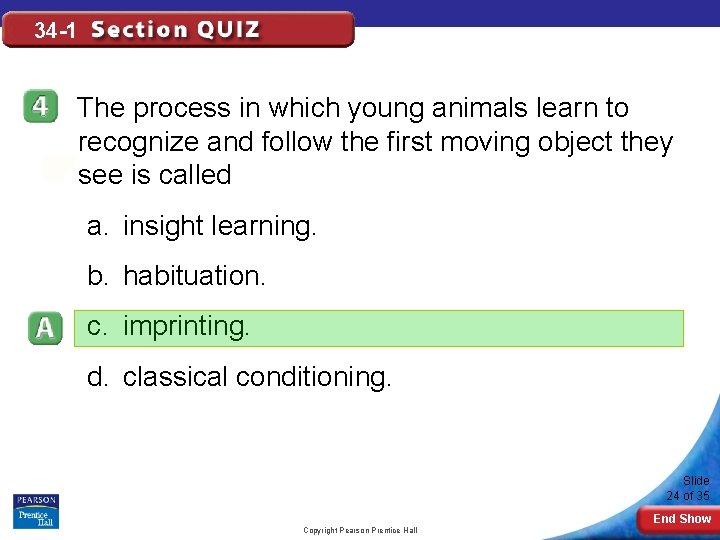 34 -1 The process in which young animals learn to recognize and follow the
