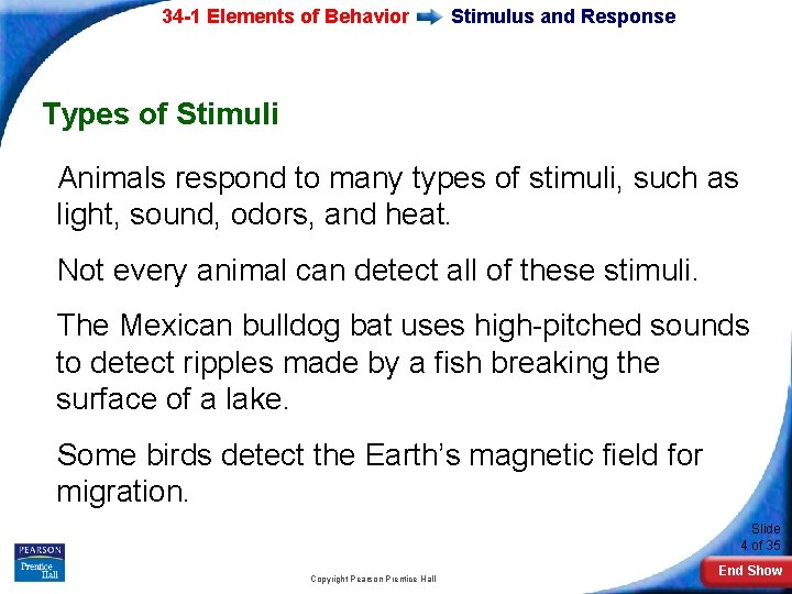 34 -1 Elements of Behavior Stimulus and Response Types of Stimuli Animals respond to