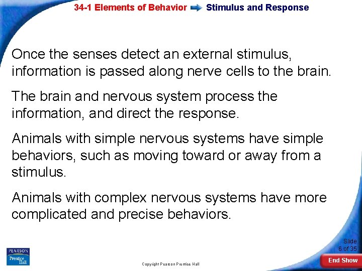 34 -1 Elements of Behavior Stimulus and Response Once the senses detect an external