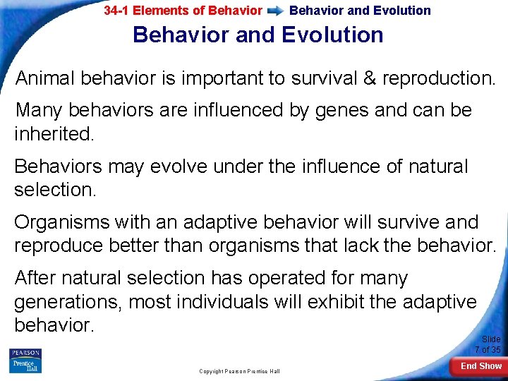 34 -1 Elements of Behavior and Evolution Animal behavior is important to survival &