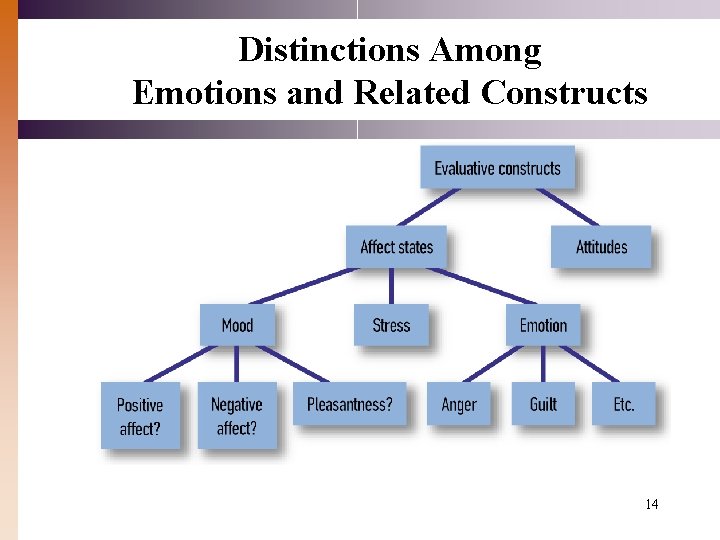 Distinctions Among Emotions and Related Constructs 14 