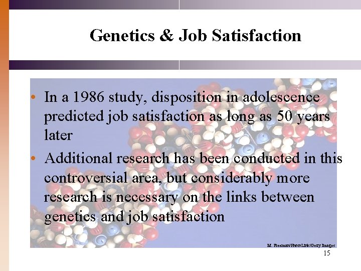 Genetics & Job Satisfaction • In a 1986 study, disposition in adolescence predicted job