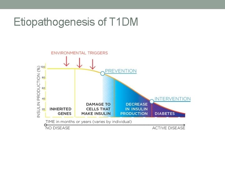 Etiopathogenesis of T 1 DM 