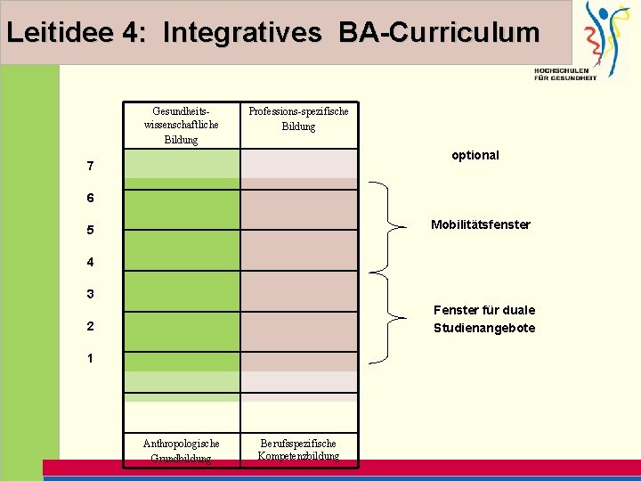 Leitidee 4: Integratives BA-Curriculum Gesundheitswissenschaftliche Bildung Professions-spezifische Bildung optional 7 6 Mobilitätsfenster 5 4