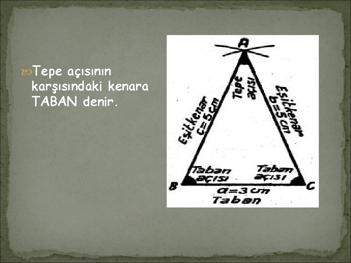  Tepe açısının karşısındaki kenara TABAN denir. 