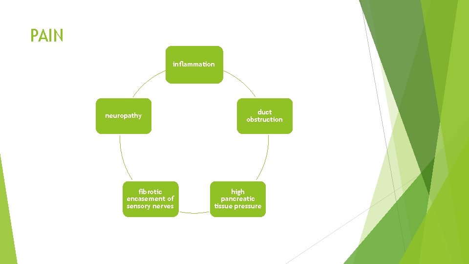 PAIN inflammation neuropathy fibrotic encasement of sensory nerves duct obstruction high pancreatic tissue pressure