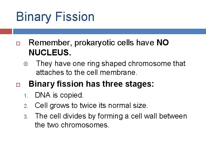 Binary Fission Remember, prokaryotic cells have NO NUCLEUS. They have one ring shaped chromosome
