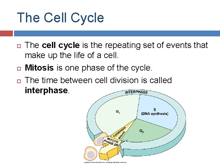 The Cell Cycle The cell cycle is the repeating set of events that make