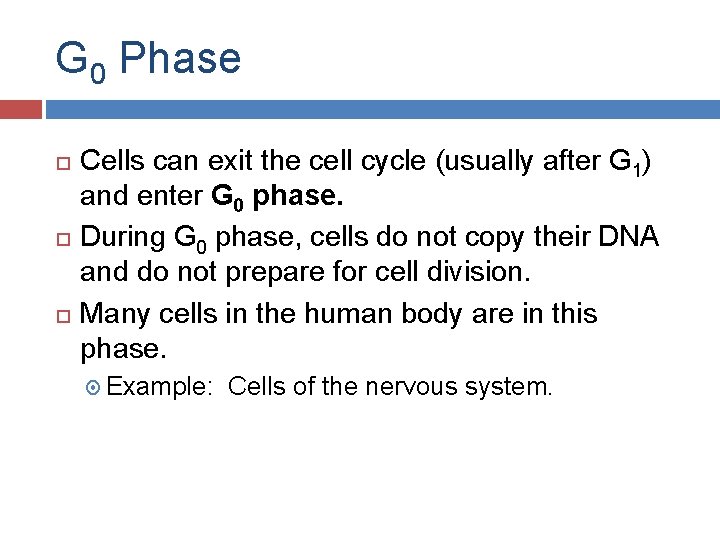 G 0 Phase Cells can exit the cell cycle (usually after G 1) and