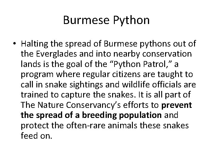 Burmese Python • Halting the spread of Burmese pythons out of the Everglades and