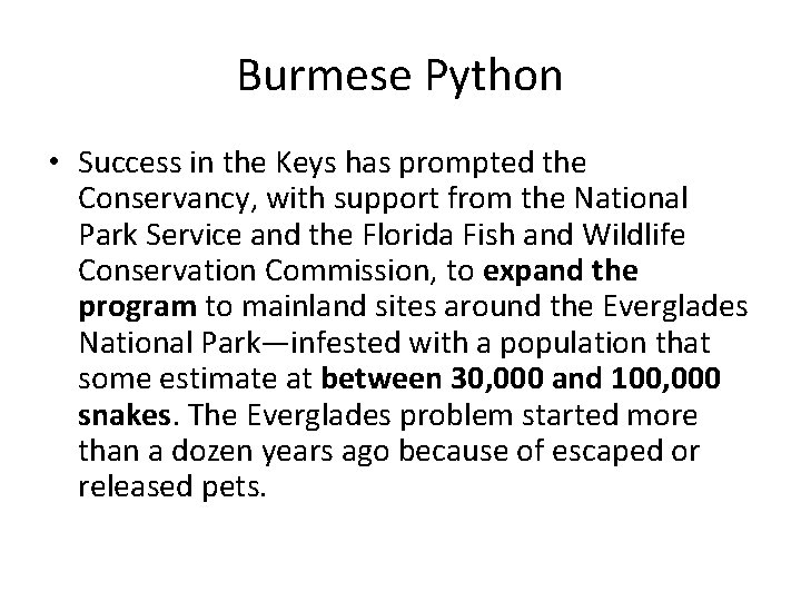 Burmese Python • Success in the Keys has prompted the Conservancy, with support from