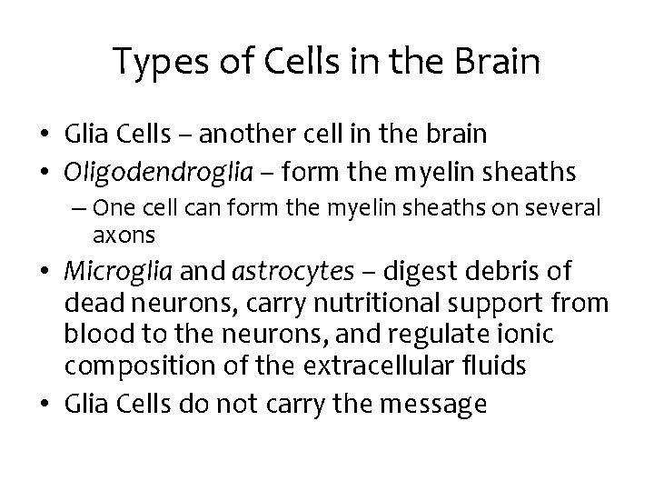 Types of Cells in the Brain • Glia Cells – another cell in the