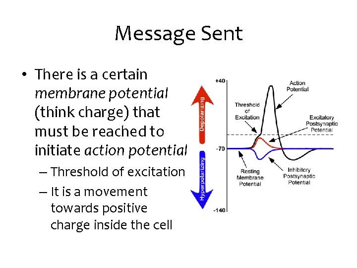 Message Sent • There is a certain membrane potential (think charge) that must be