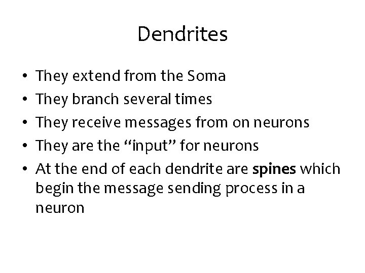 Dendrites • • • They extend from the Soma They branch several times They