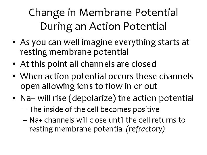 Change in Membrane Potential During an Action Potential • As you can well imagine