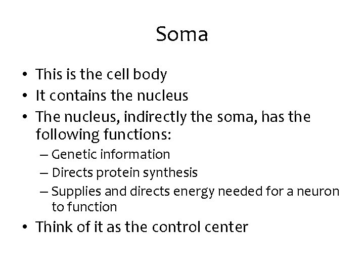 Soma • This is the cell body • It contains the nucleus • The