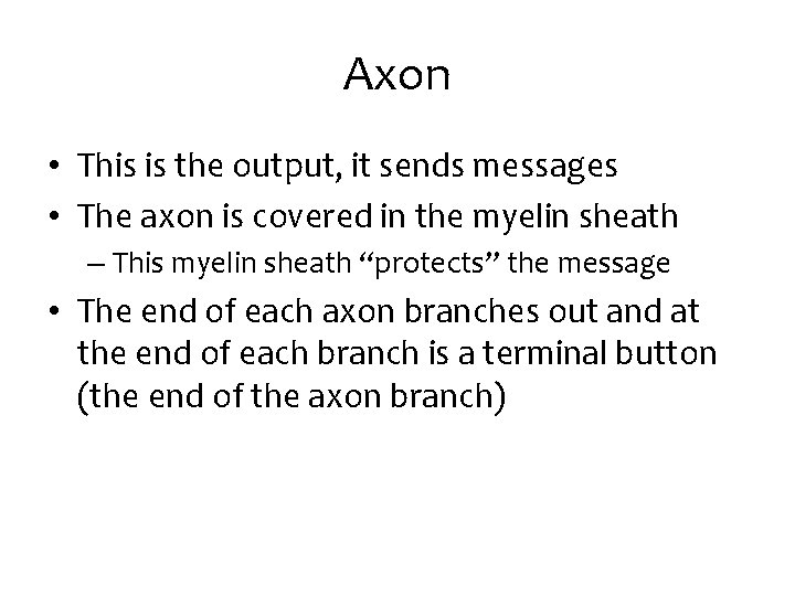 Axon • This is the output, it sends messages • The axon is covered