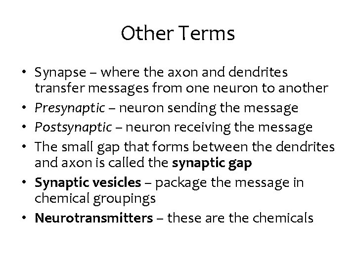 Other Terms • Synapse – where the axon and dendrites transfer messages from one