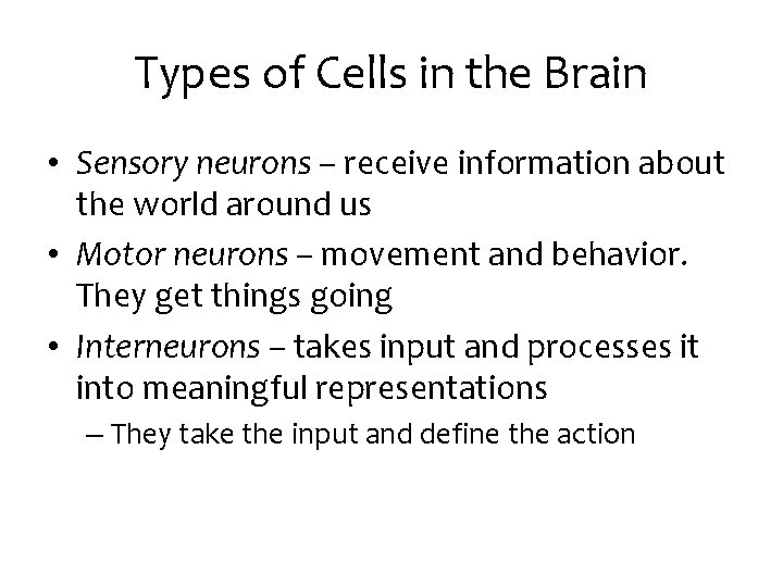 Types of Cells in the Brain • Sensory neurons – receive information about the