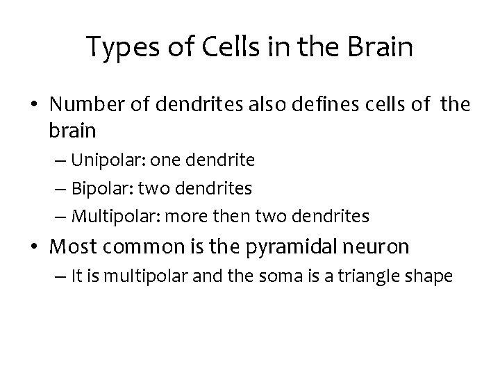 Types of Cells in the Brain • Number of dendrites also defines cells of