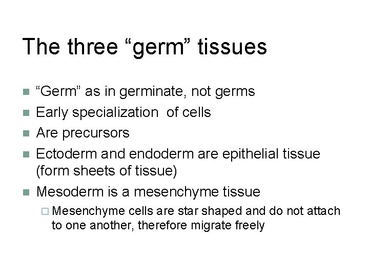 The three “germ” tissues “Germ” as in germinate, not germs Early specialization of cells