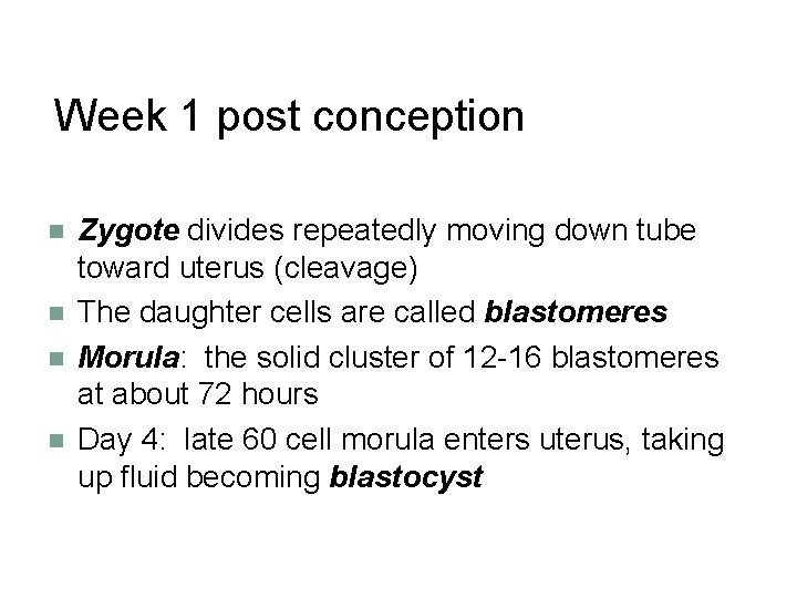 Week 1 post conception Zygote divides repeatedly moving down tube toward uterus (cleavage) The