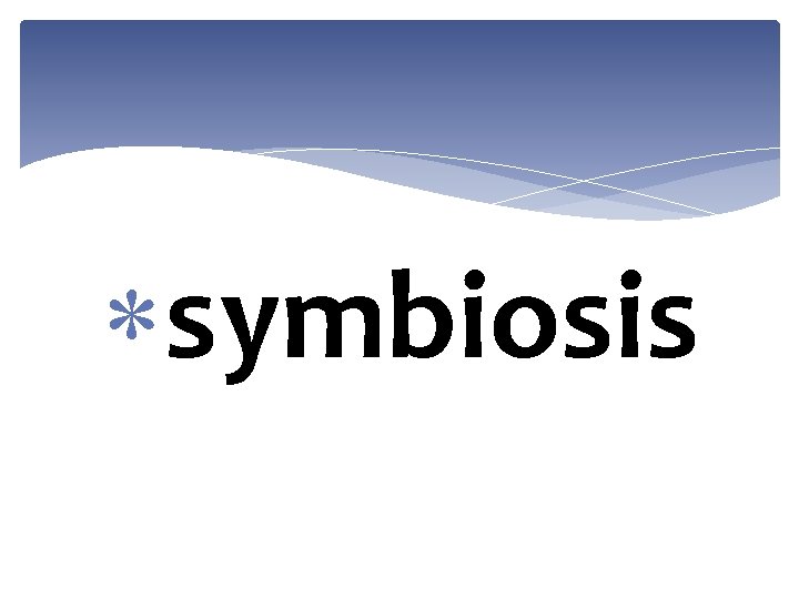  symbiosis 