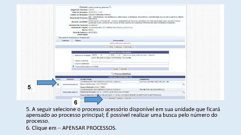 5. 6 5. A seguir selecione o processo acessório disponível em sua unidade que