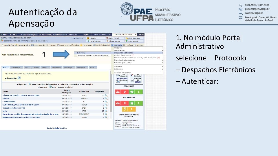 Autenticação da Apensação 1 1. No módulo Portal Administrativo selecione – Protocolo – Despachos