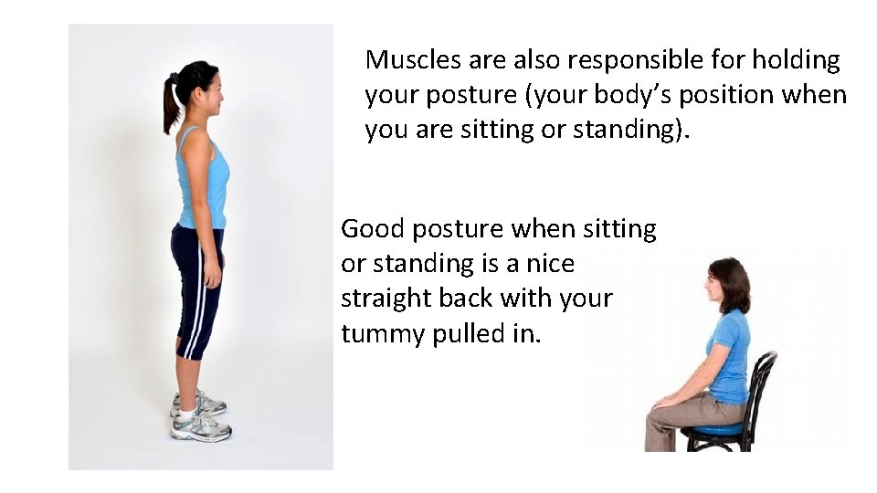 Muscles are also responsible for holding your posture (your body’s position when you are