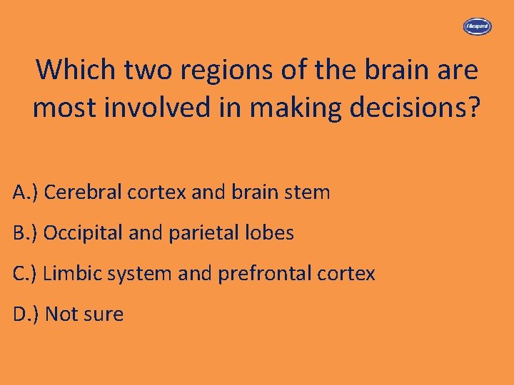 Which two regions of the brain are most involved in making decisions? A. )