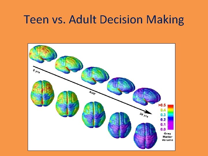Teen vs. Adult Decision Making 