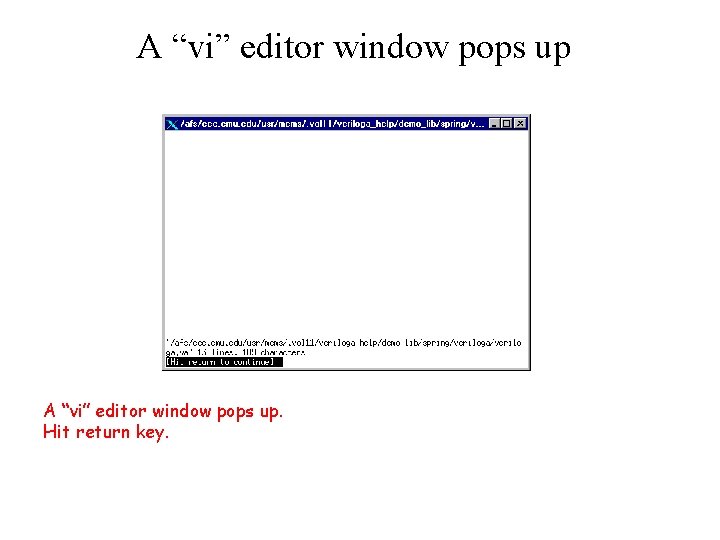 A “vi” editor window pops up. Hit return key. 
