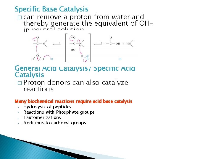 Specific Base Catalysis � can remove a proton from water and thereby generate the