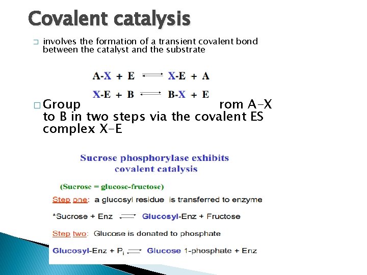 Covalent catalysis � involves the formation of a transient covalent bond between the catalyst