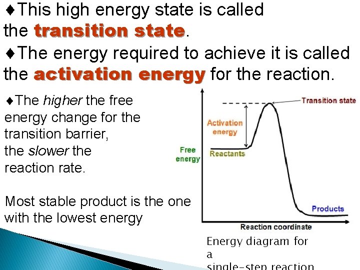  This high energy state is called the transition state The energy required to