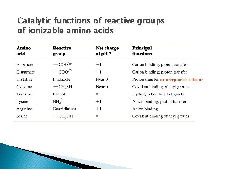 Catalytic functions of reactive groups of ionizable amino acids 