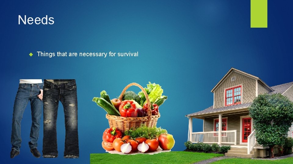 Needs Things that are necessary for survival 