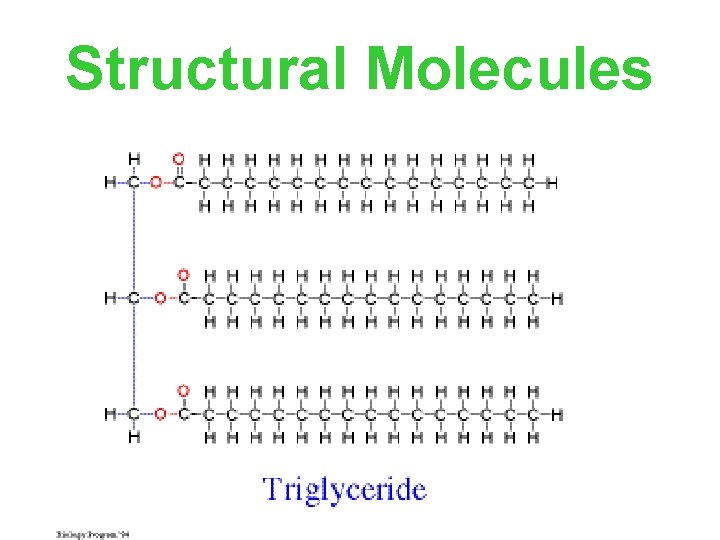 Structural Molecules 
