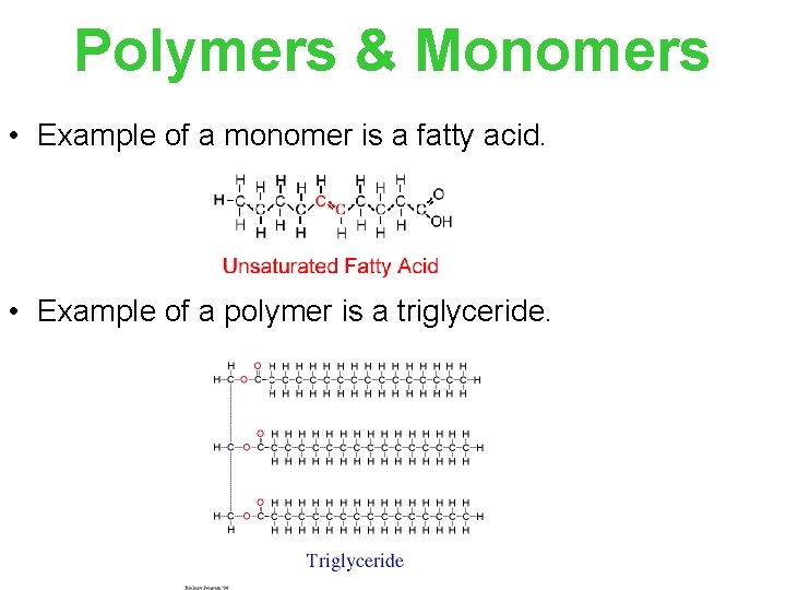 Polymers & Monomers • Example of a monomer is a fatty acid. • Example