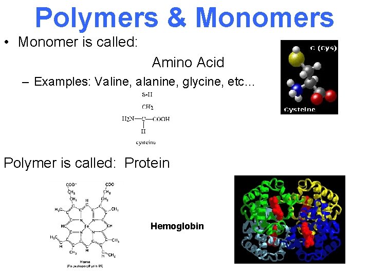 Polymers & Monomers • Monomer is called: Amino Acid – Examples: Valine, alanine, glycine,
