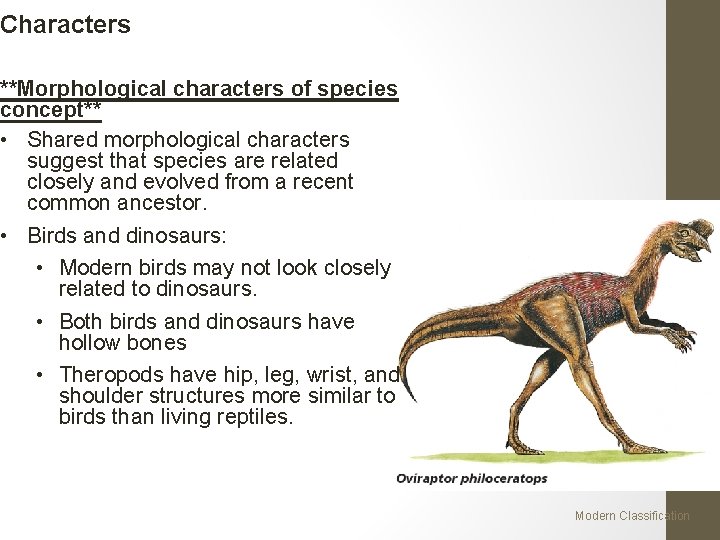 Characters **Morphological characters of species concept** • Shared morphological characters suggest that species are