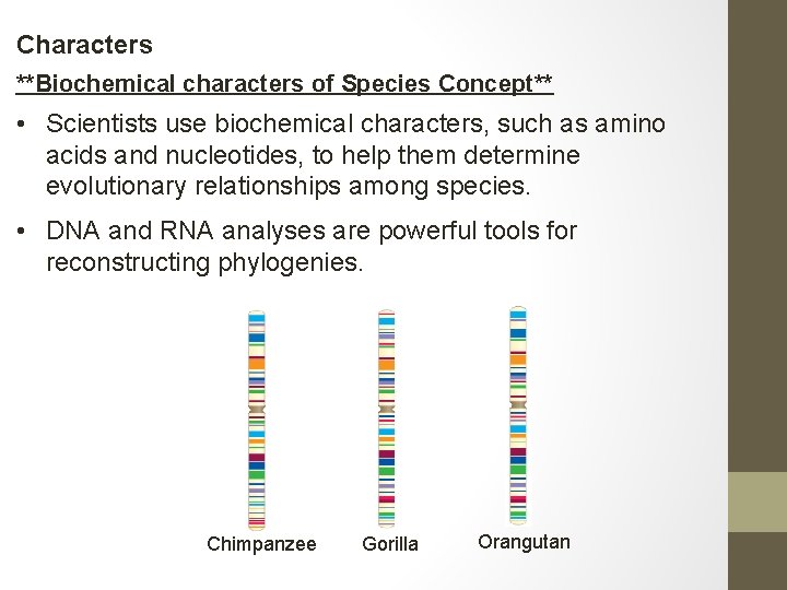Characters **Biochemical characters of Species Concept** • Scientists use biochemical characters, such as amino