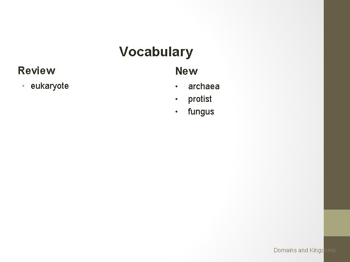 Vocabulary Review • eukaryote New • • • archaea protist fungus Domains and Kingdoms