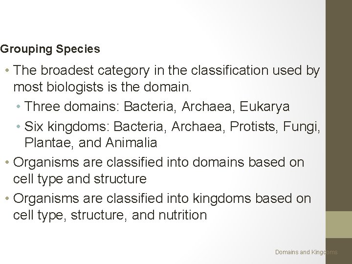Grouping Species • The broadest category in the classification used by most biologists is