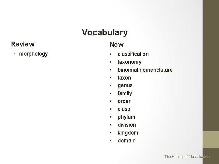 Vocabulary Review • morphology New • • • classification taxonomy binomial nomenclature taxon genus