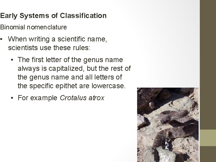 Early Systems of Classification Binomial nomenclature • When writing a scientific name, scientists use