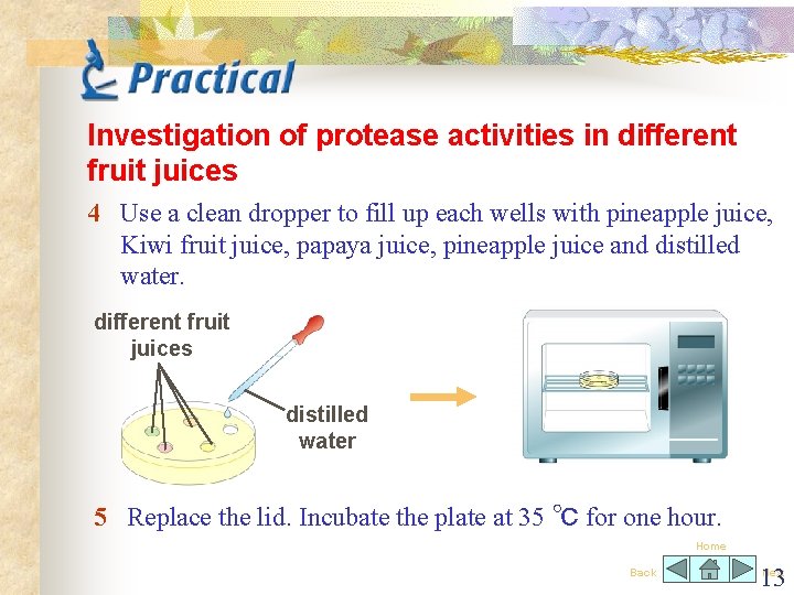 Investigation of protease activities in different fruit juices 4 Use a clean dropper to