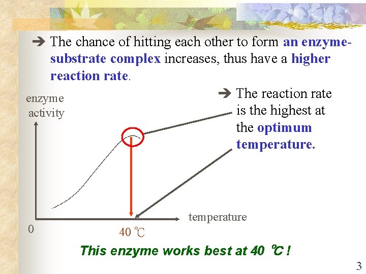  The chance of hitting each other to form an enzymesubstrate complex increases, thus